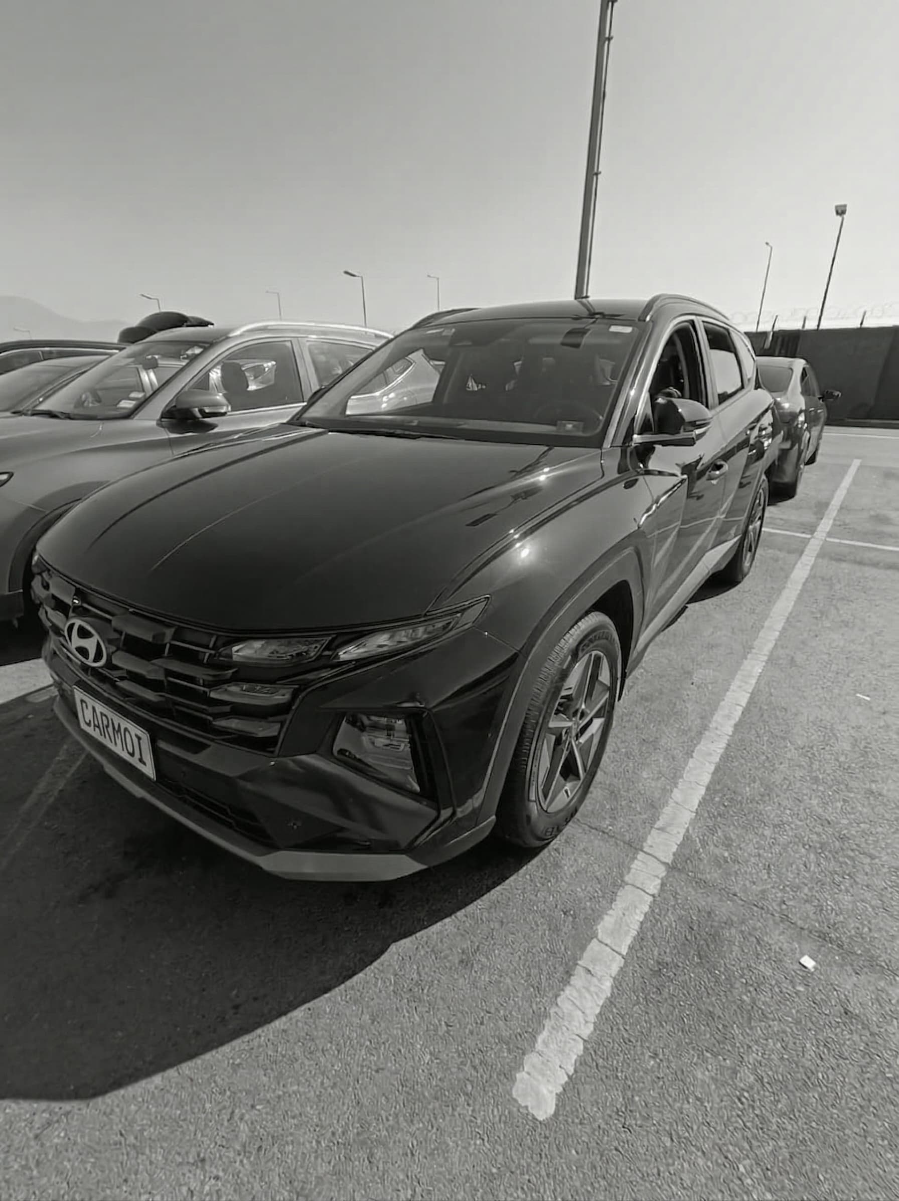 Servicio Pet Friendly - Taxi para Mascotas Aeropuerto